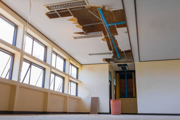 Best 24/7 water damage repair  in Bevil Oaks, TX