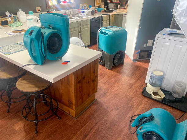 Best Flood damage cleanup  in Bevil Oaks, TX