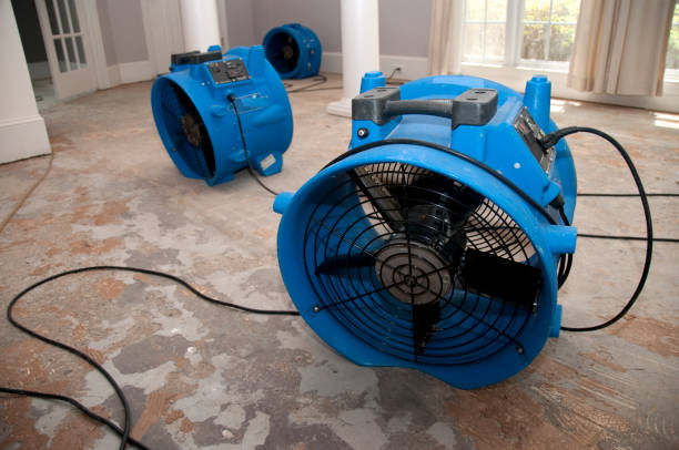 Best Water damage restoration near me  in Bevil Oaks, TX