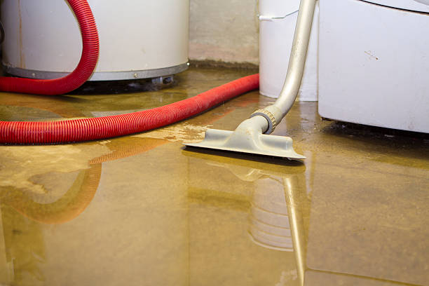 Best Ceiling water damage repair  in Bevil Oaks, TX