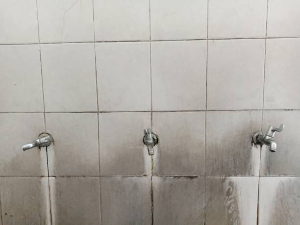 Best 24-hour water damage restoration  in Bevil Oaks, TX