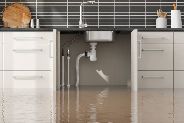 Best Commercial water damage restoration  in Bevil Oaks, TX